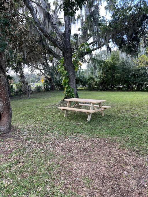 The Sunshine Homestay New Smyrna Beach Dış mekan fotoğraf